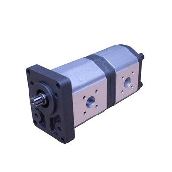 GD5-20-12H16FFL-20 ปั๊มไฮดรอลิกสำหรับ Claas